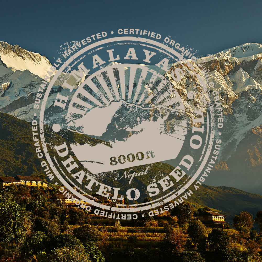 Himalayan Dhatelo Seed Oil